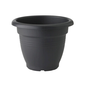 green basics campana 30cm  living schwarz