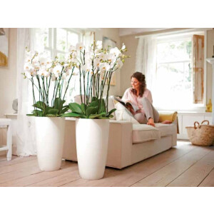 brussels diamond rund hoch 32cm  weiss