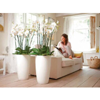 brussels diamond rund hoch 32cm  weiss