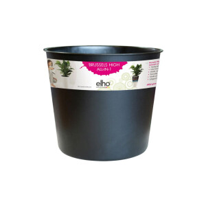 Brussels Diamond hoch easy insert 32 cm