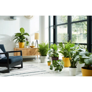 b.for original rund 22cm  weiss