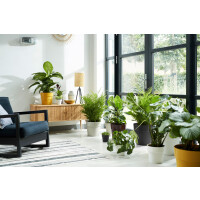 b.for original rund 22cm  weiss