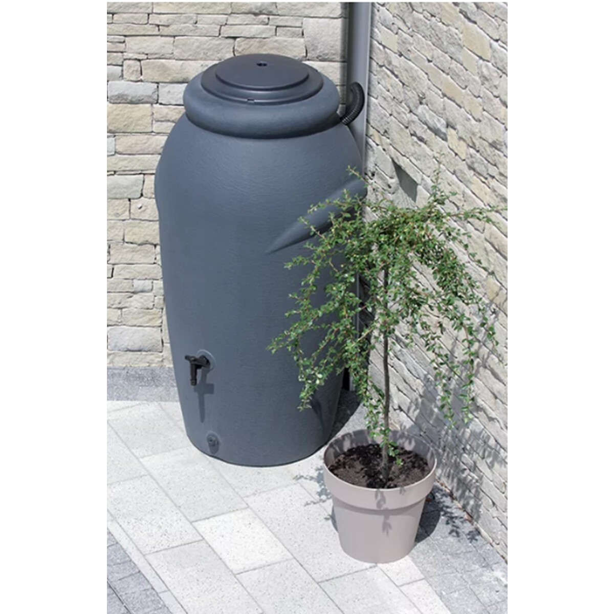 Prosperplast Regentonne AQUACAN Baby 210 L Anthrazit Mit Wasserhahn prosperplast-regentonne-aquacan-baby-210-l-anthrazit-mit-wasserhahn