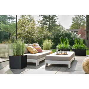 vivo next lang 80cm living schwarz