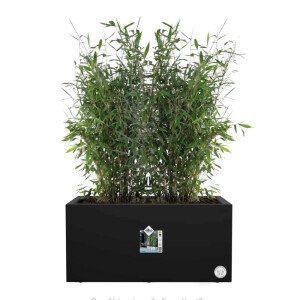 vivo next lang 80cm living schwarz