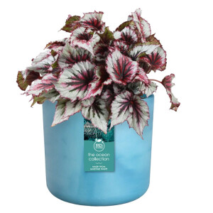 the ocean collection rund 16cm atlantikblau