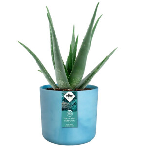 the ocean collection rund 16cm atlantikblau