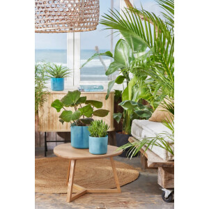 the ocean collection rund 16cm atlantikblau