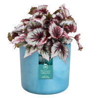 the ocean collection rund 16cm atlantikblau