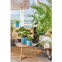 the ocean collection rund 16cm atlantikblau