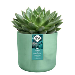 the ocean collection rund 18cm pazifikgrün