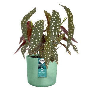 the ocean collection rund 18cm pazifikgrün