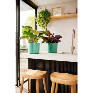 the ocean collection rund 18cm pazifikgrün