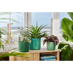 the ocean collection rund 18cm pazifikgrün