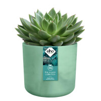 the ocean collection rund 18cm pazifikgrün