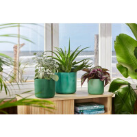 the ocean collection rund 18cm pazifikgrün