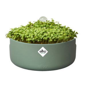 elho Magic Microgreens