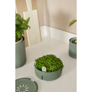 elho Magic Microgreens