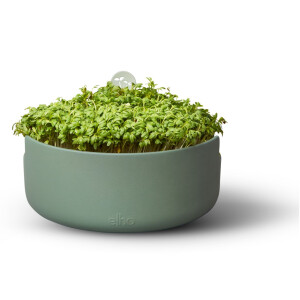 elho Magic Microgreens