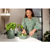 elho Magic Microgreens