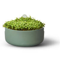 elho Magic Microgreens