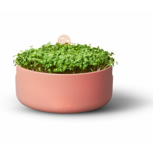 elho Magic Microgreens