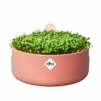 elho Magic Microgreens