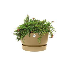 greenville schale 33cm goldener Sand