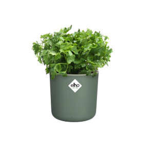 elho happy herbs 14cm laubgrün