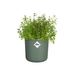 elho happy herbs 14cm laubgrün