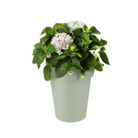 green basics top planter hoch 35cm steingrün