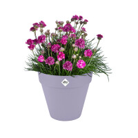 loft urban rund rollen 40cm lavendel lila