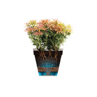 loft urban rund rollen 40cm lavendel lila