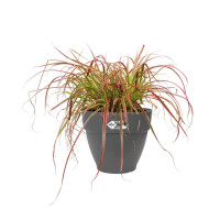 B-Ware vibia campana rund 55  anthrazit